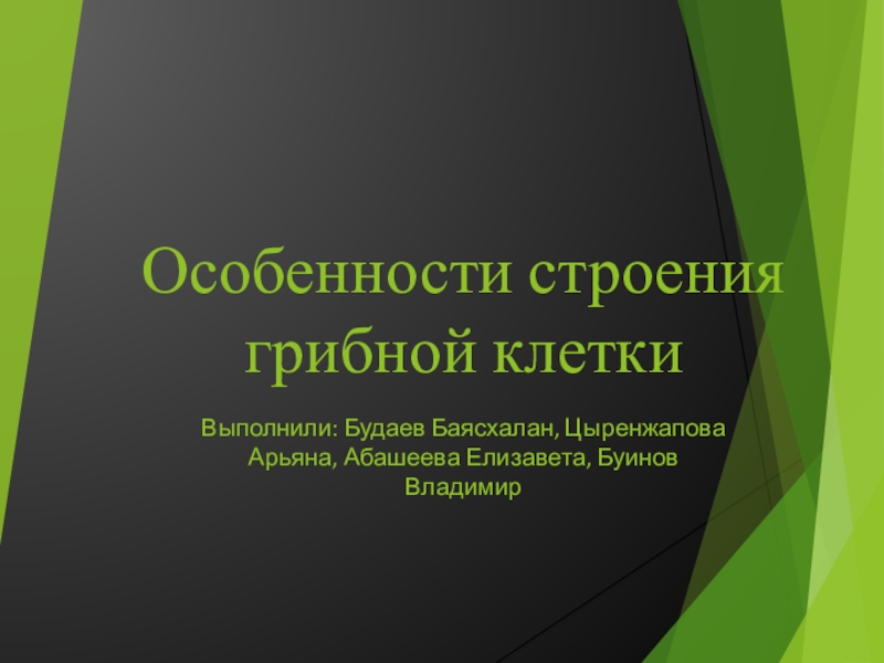 Особенности строения грибной клетки