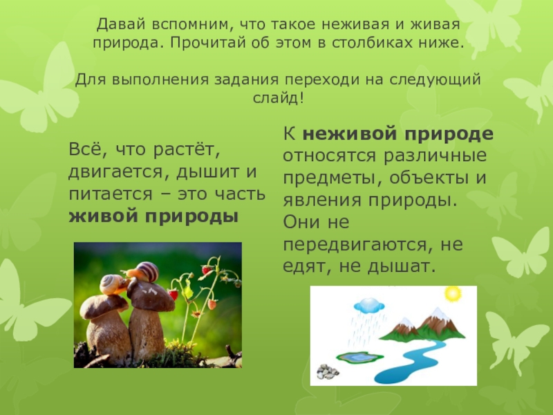 Изменения в живой и неживой природе. Живая природа в столбик. Реферат про живую природу и неживую природу. Маленькое неживое с крылышками но дышит что это такое.