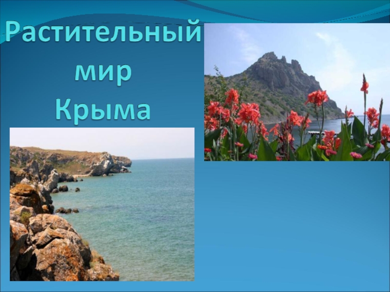 Растительный мир Крыма