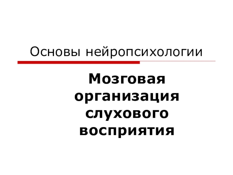 Основы нейропсихологии