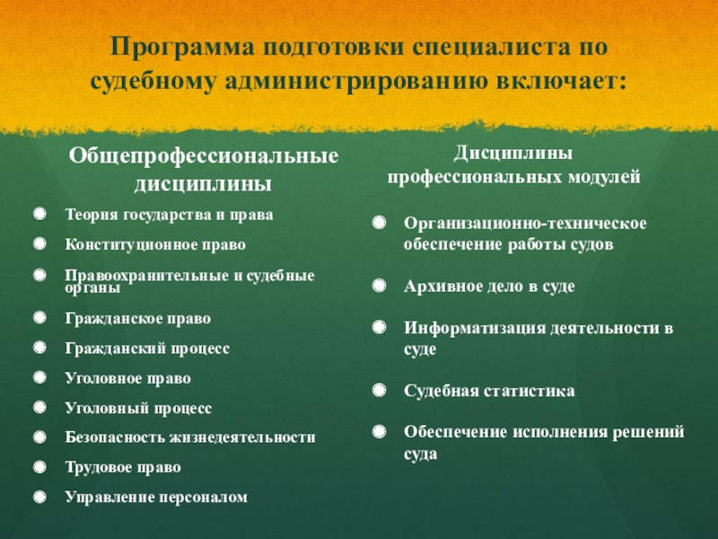 Правом судебное администрирование. Общепрофессиональные дисциплины гражданское. Общепрофессиональные дисциплины гражданское право. Общепрофессиональные дисциплины перечень. Права и судебное администрирование.