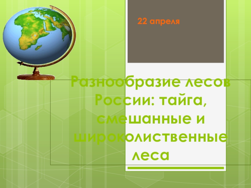 Презентация Разнообразие лесов России : тайга, смешанные и широколиственные леса
