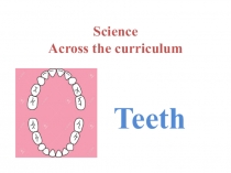 Science Across the curriculum