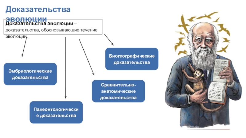 Обоснованные доказательства