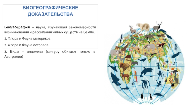 Карта мира биогеография