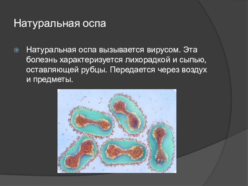 Оспа методы профилактики. Натуральная оспа возбудитель. Оспа возбудитель вирус. Сообщение на тему натуральная оспа.