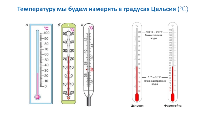 Температуру тела измеряют физика. Тепловое движение температура. Термометр это тепловые явления. Тепловое движение. Температура. Термометры.. Тепловые явления температура.
