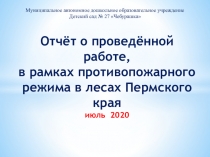 Отчёт о проведённой работе, в рамках противопожарного режима в лесах Пермского