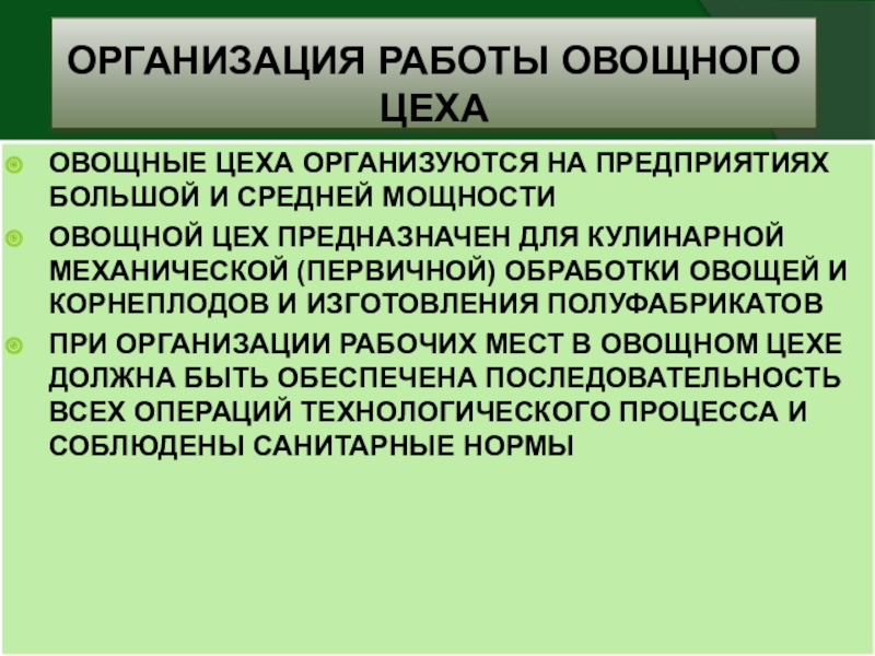 Что такое производственная программа овощного цеха