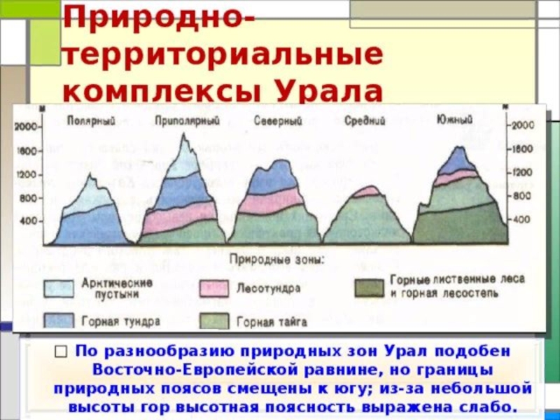 Генерализованная схема типовой структуры высотной поясности гор россии