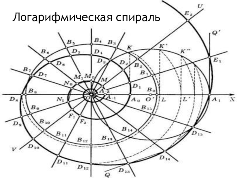 Логарифмическая спираль картинки