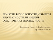 Понятие безопасности, объекты безопасности, принципы обеспечения безопасности