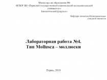 Министерство образования РФ ФГБОУ ВО Пермский государственный национальный