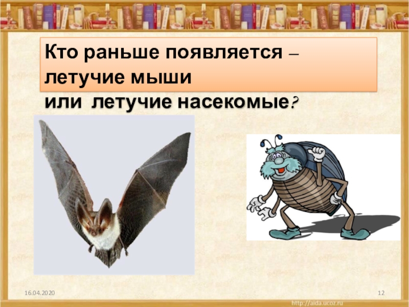 Кто раньше появляется – летучие мыши или летучие насекомые?