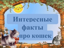 про кошек
Интересные
факты