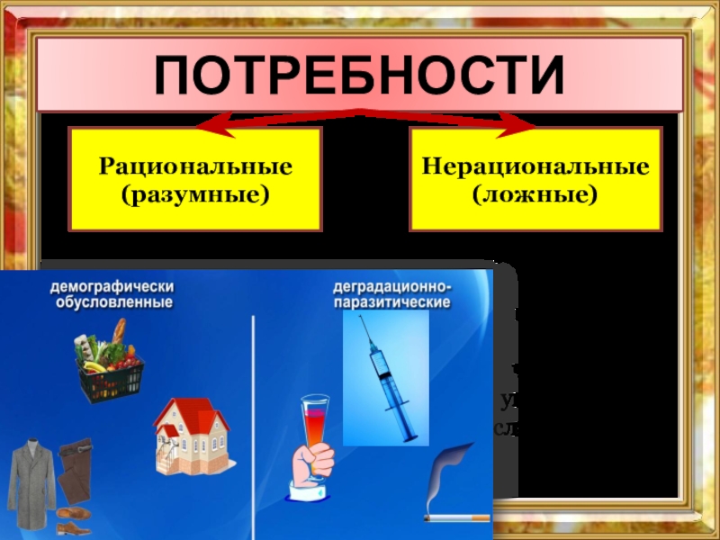 Технология совершения покупок 8 класс технология презентация