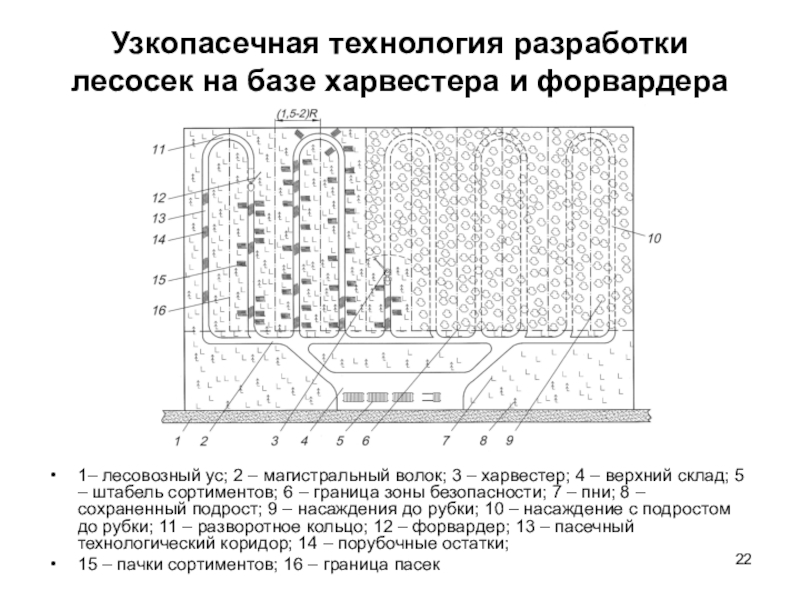 Схема разработки лесосеки. Технологическая карта разработки лесосеки Харвестером. Узкопасечная технология разработки лесосеки. Технологическая схема применения форвардера на лесосеке.. Среднепасечная технология разработки лесосек схема.