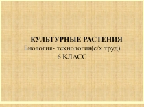 КУЛЬТУРНЫЕ РАСТЕНИЯ
Биология- технология(с/х труд)
6 КЛАСС