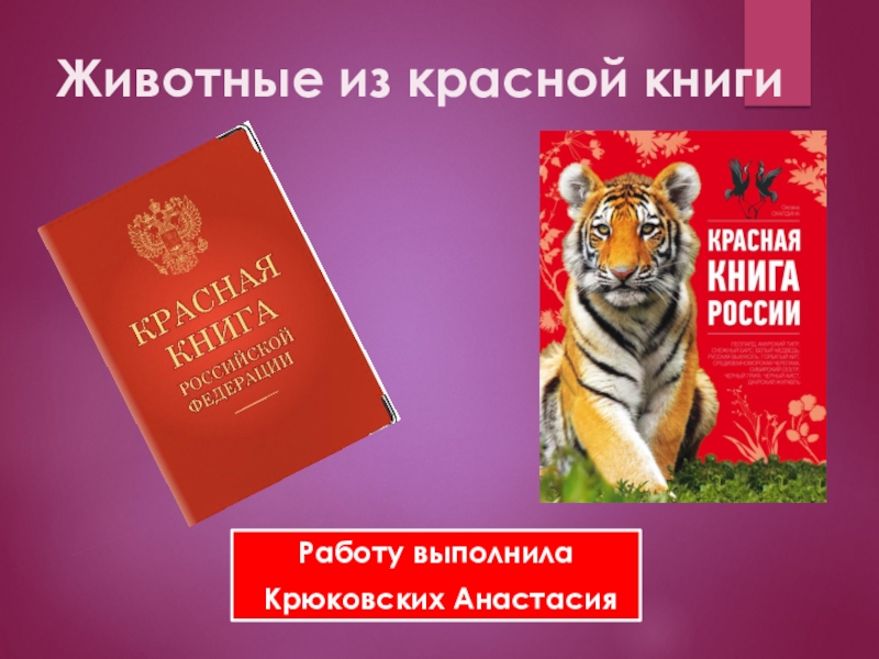 Животные из красной книги