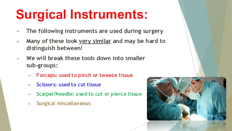 Презентация Surgical Instruments: