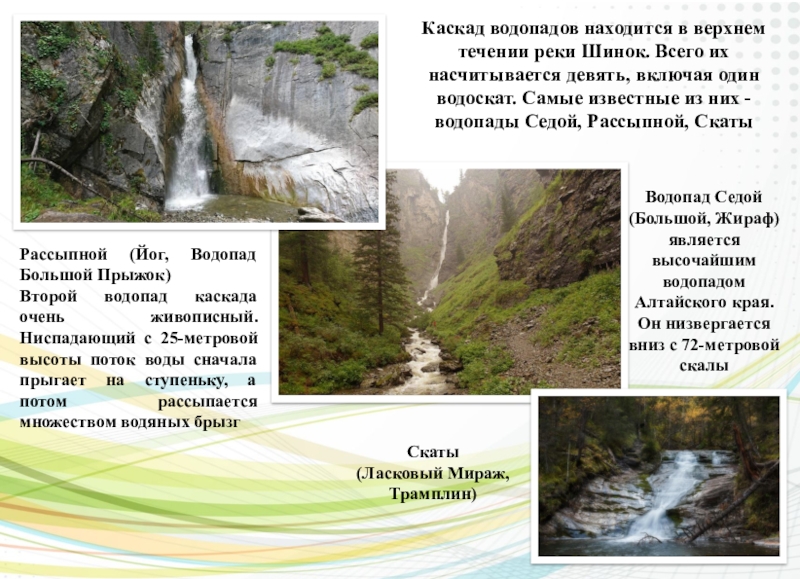 Какой водопад находится севернее. Каскад водопадов на реке Шинок. Каскад водопадов на реке Шинок Алтай. Водопады Алтайского края на карте. Алтайский край самый высокий водопад.