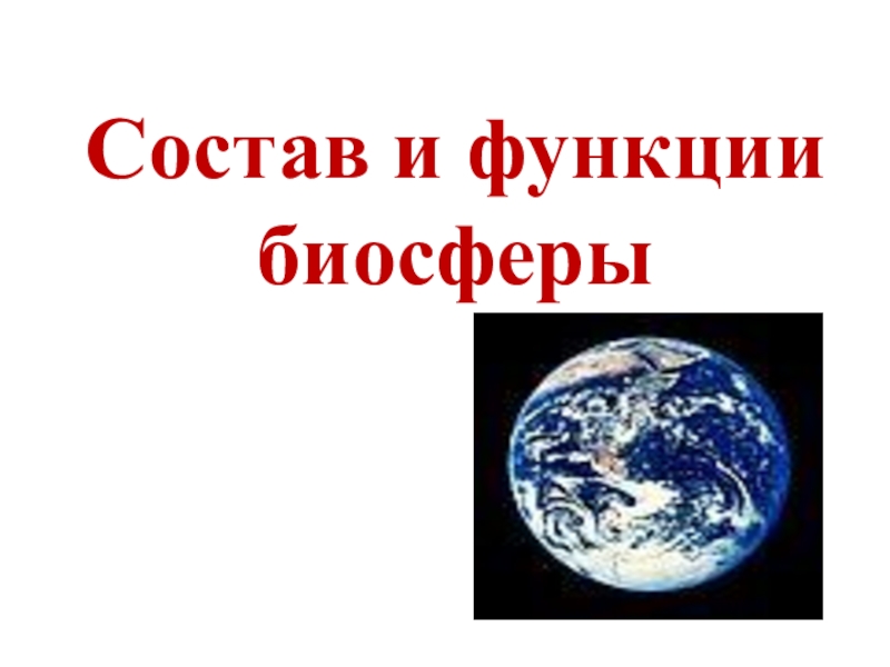 Презентация Состав и функции биосферы