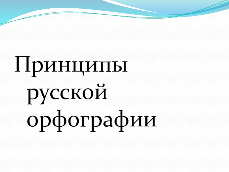 Принципы русской орфографии