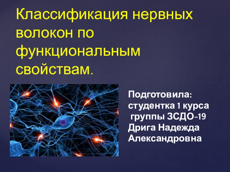 Классификация нервных волокон по функциональным свойствам