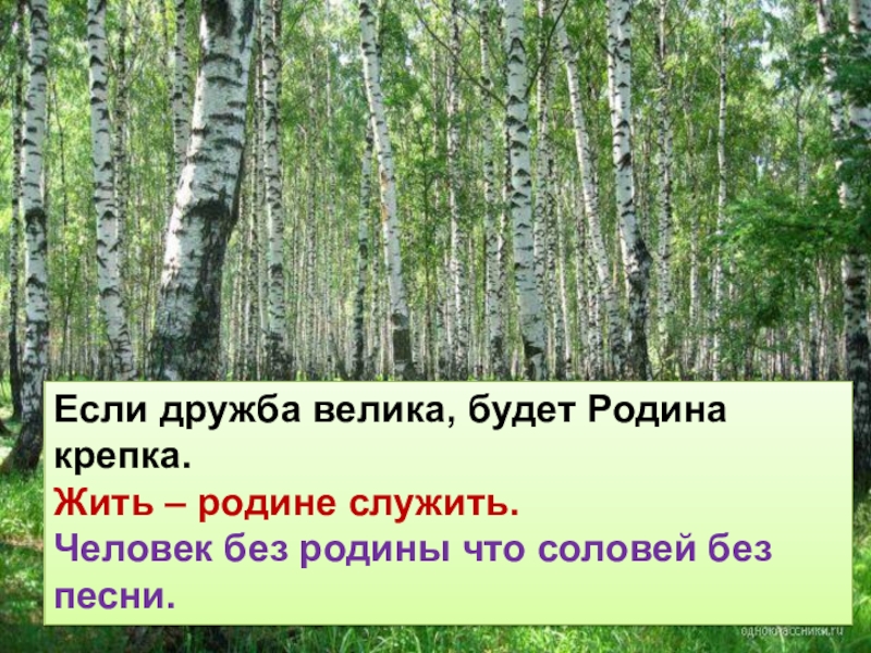 Человек без родины что соловей без песни презентация