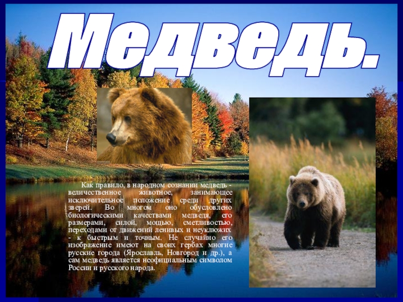 Какой зверь является национальным символом. Медведь символ России. Национальные символы России медведь. Неофициальные символы России медведь. Медведь символ России презентация.