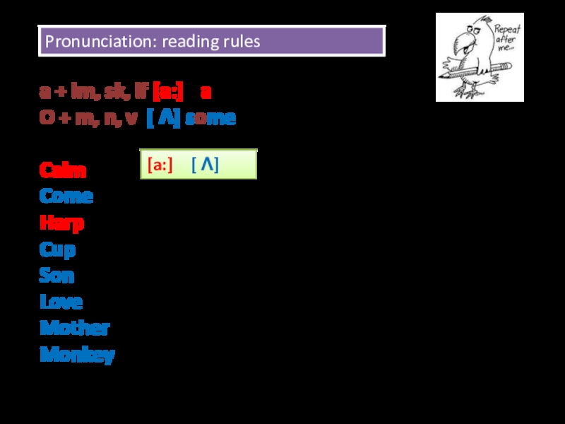 Pronunciation: reading rules
a + lm, sk, lf [a:] h a lf
O + m, n, v [   Λ ] s o