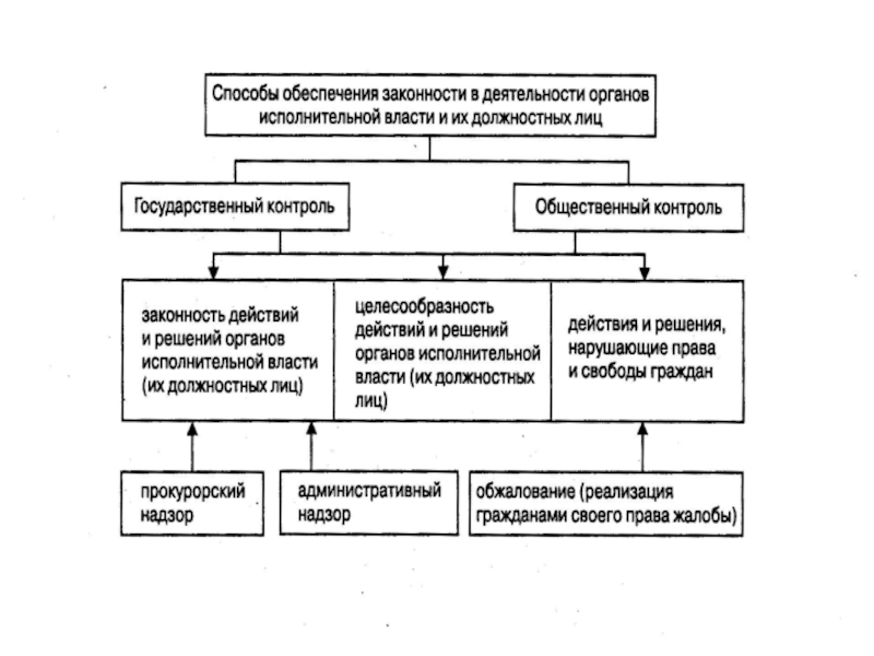 Схема органов исполнительной власти забайкальского края