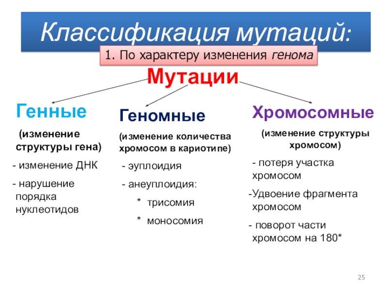 На какие типы делятся мутации