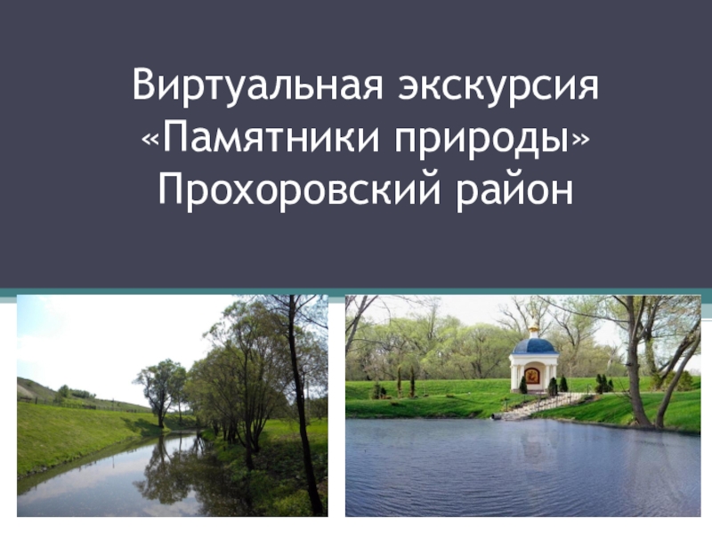 Виртуальная экскурсия Памятники природы Прохоровский район