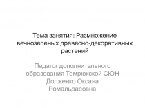 Тема занятия: Размножение вечнозеленых древесно-декоративных растений