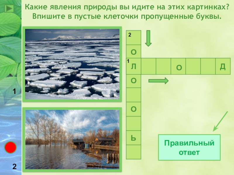 Презентация весенние явления в природе 5 класс