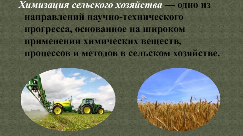 Химизация это. Химизация сельского хозяйства. Химизация сельского хозяйства презентация. Экологические проблемы химизации сельского хозяйства. Механизация и химизация сельского хозяйства.