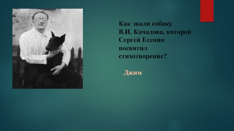 Есенин собака. Качалов и Есенин. Стихотворение Джим. Как зовут собак. Собака Александра блока.