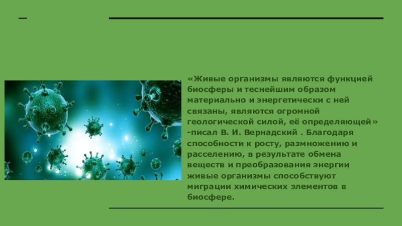 Живых организмов является естественной. Роль живых организмов в биосфере 11 класс. Живые организмы являются функцией биосферы. Роль в организме. Роль живого вещества.