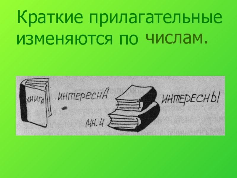 Прилагательные полные и краткие урок и презентация 5 класс