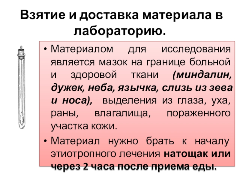 Мазок из зева и носа. Взятие материала для исследования. Взятие материала дифтерии. Взятия материала для зева. Доставка в лабораторию мазков из зева и носа.