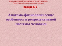 Анатомо-физиологические особенности репродуктивной системы человека