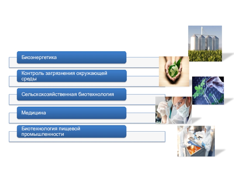 Направления биотехнологии презентация