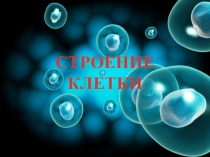 СТРОЕНИЕ КЛЕТКИ