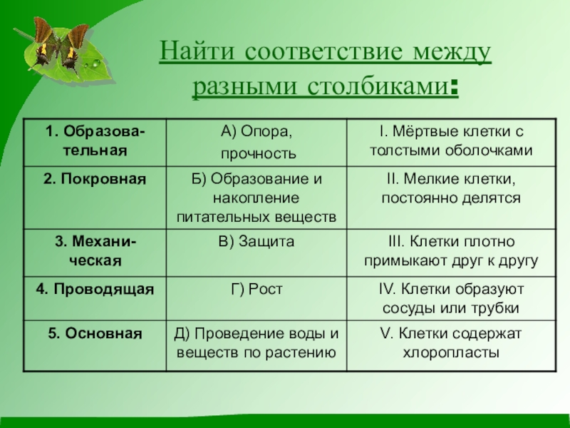 Растительные ткани презентация 6 класс