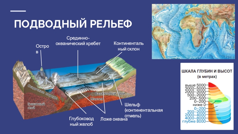 Соотнеси элементы рельефа дна океана с точками на изображении