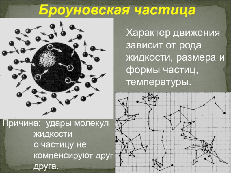 Броуновское движение 10 класс физика презентация