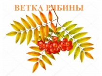 ВЕТКА РЯБИНЫ