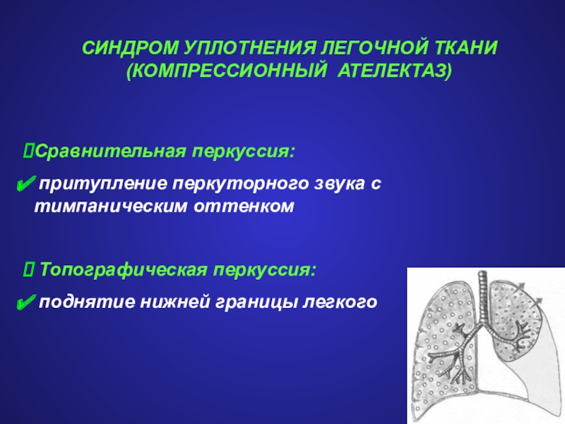 Уплотнение ткани. Компрессионный ателектаз сравнительная перкуссия. Обтурационный ателектаз легкого. Ателектаз диагноз. Синдром уплотнения легочной ткани.