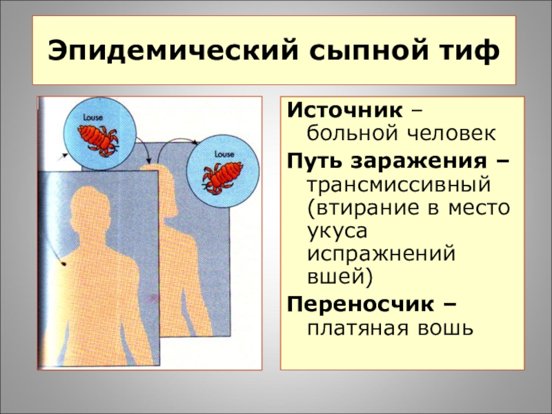 Просмотр изображений тиф